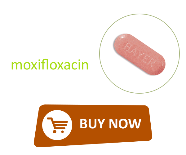Buy Avelox