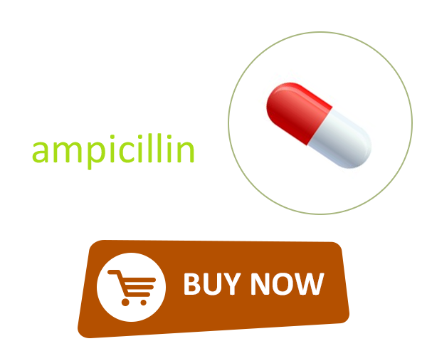 Buy Principen