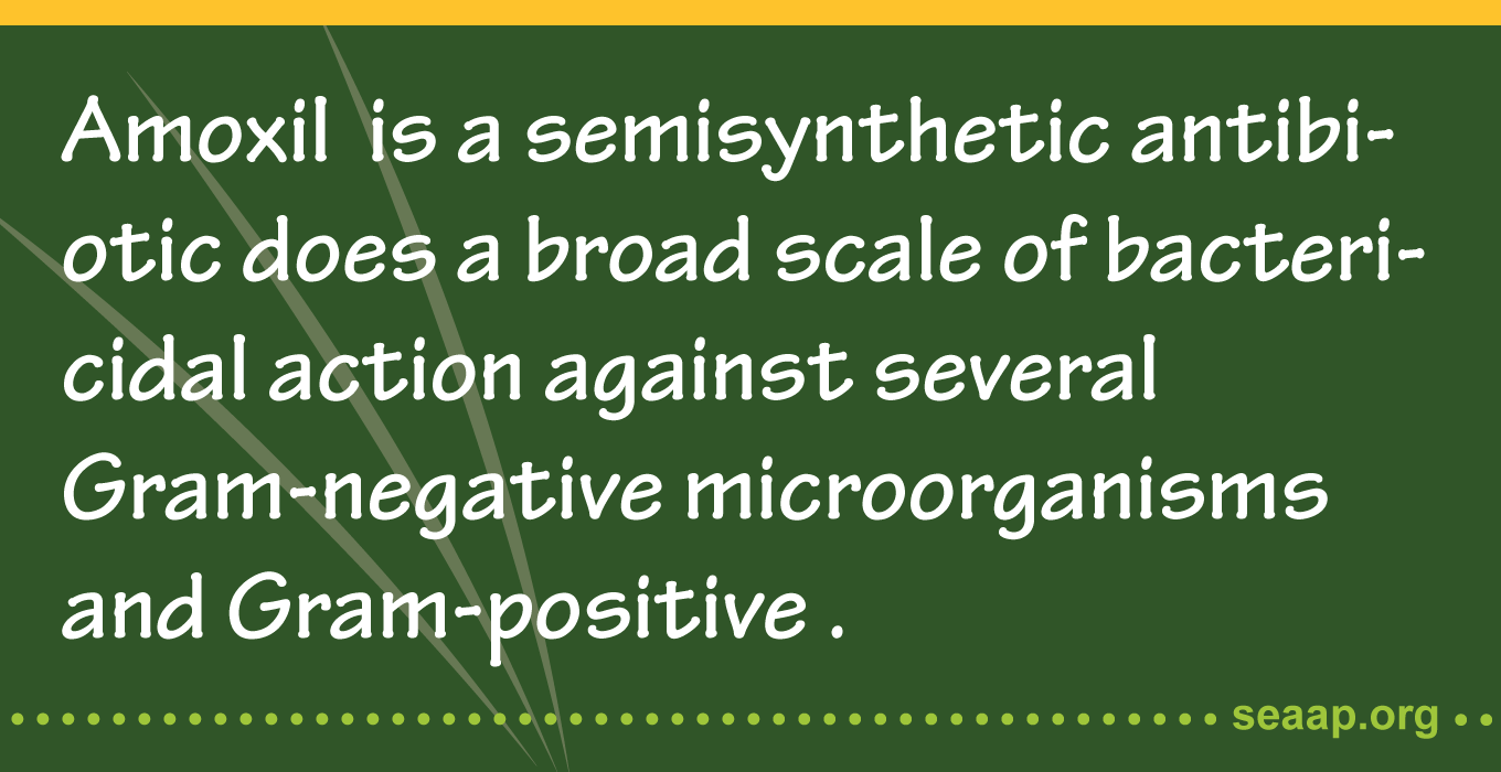 Amoxicillin is used for the treatment of infections