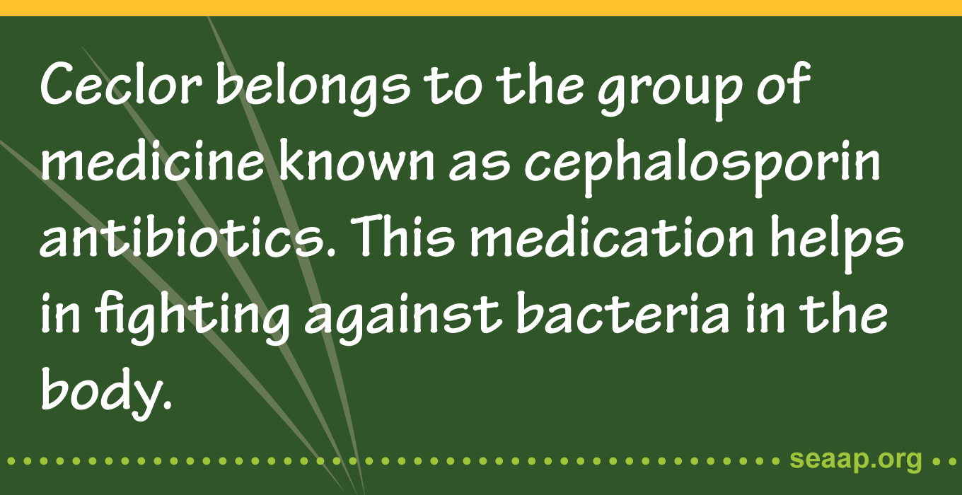 Ceclor, also called Cefaclor is a cephalosporin antibiotic