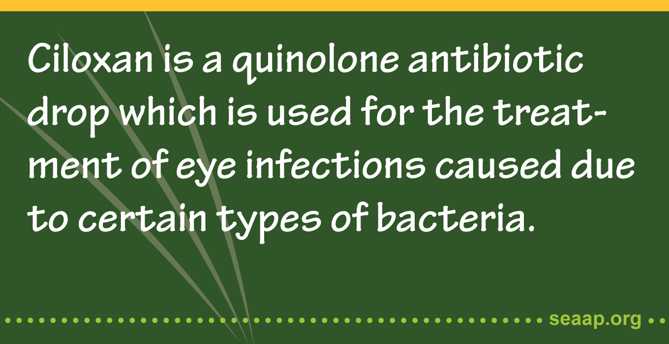Ciloxan is a quinolone antibiotic drop
