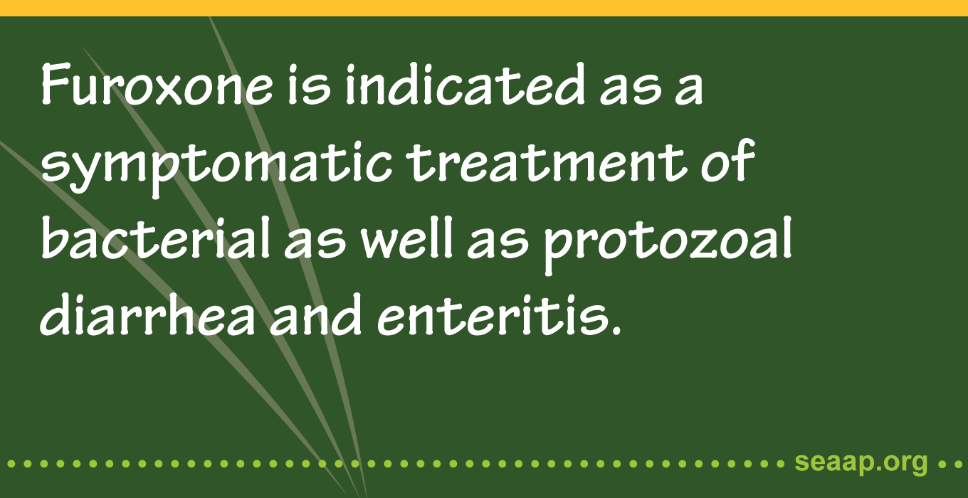 Furoxone is a synthetic antimicrobial Nitrofuran