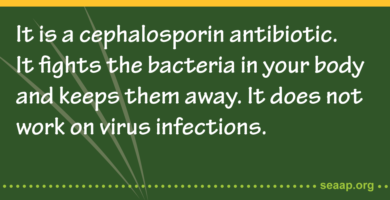 It is a cephalosporin antibiotic